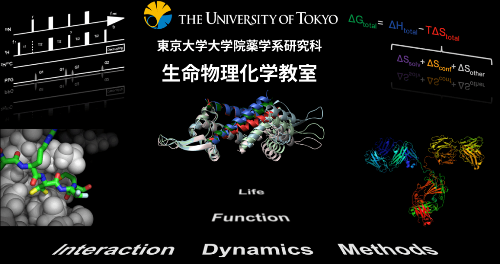 東京大学大学院 薬学系研究科 生命物理化学教室